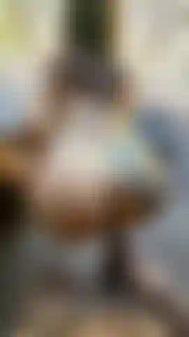 They full my ass with milk