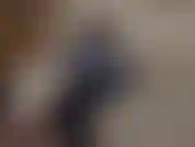 Chav in calzamaglia che si prende gioco del tuo feticcio. Hai un debole per le troie comuni come me, un feticcio così imbarazzante ma non puoi farne a meno. Adori fottere puttane scadenti che indossano collant.