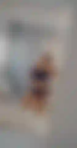 Quando è grossa e ha un grosso bottino.