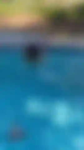 15 Minuti trascorsi a scopare e succhiare il torso del mio amico isaac nella mia piscina.