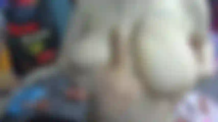 Anteprima di titty fuck + talk show sporco.