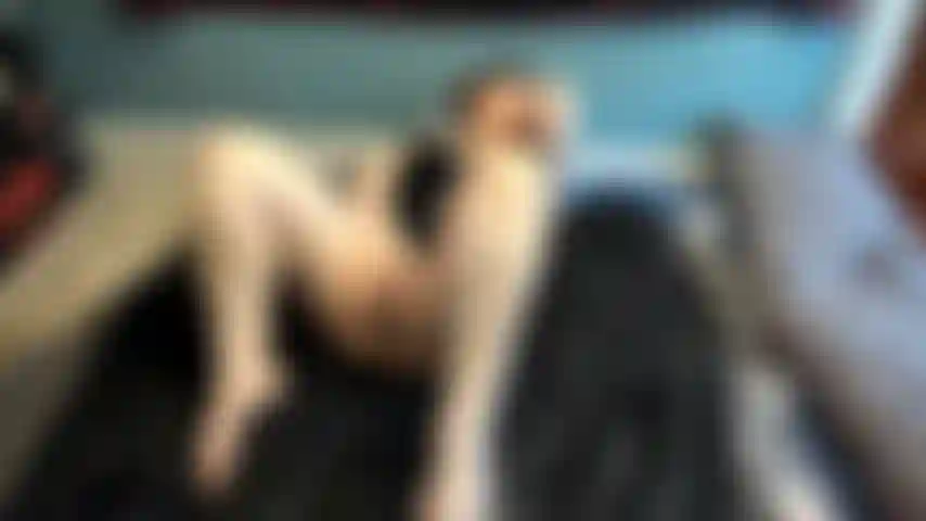 12 MINUTE HD SQUIRTAPALOOZA