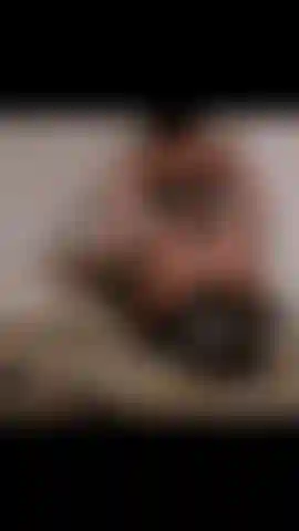 Uno spettacolo serale oscuro per l'ordine.