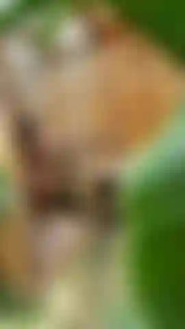 I like that you can watch me while I shower. Kisses, love