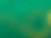 Mentre aspetto che un'azienda allestisca il loro set, il loro ragazzo bts è venuto da me. Era come quello che faceva e sono sicuro che voleva una sorta di intervista, ma invece ho deciso di succhiare il cazzo e scoparlo.