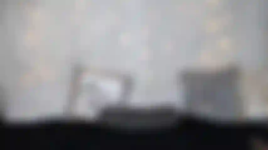 Mettimi incinta, fantasia.