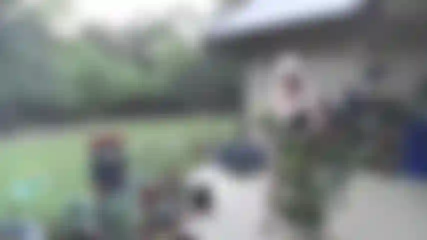 Un bikini nero a due pezzi, mostrandomi le tette, la pancia, il culo e allargando la figa sull'altalena della veranda.