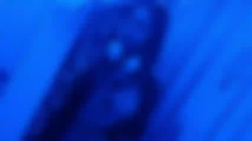 Stip nel bagno dell'aereo.