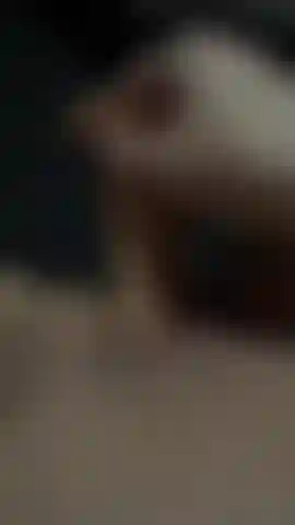 Una figa più un dildo.