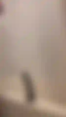 Divertimento in bagno.