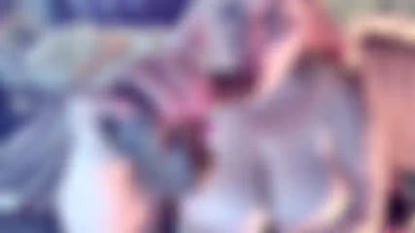 Le enormi #titsdisordinate vedono un'enorme quantità di #sputa che ricevo mentre succhio questo #bbc dildo facendo gocciolare lo #sputare giù dalle mie enormi tette naturali e facendo un pasticcio dappertutto proprio come farei con il tuo cazzo, lo #titfuck e imploro per il tuo sperma ti mostro che #troia disordinata sono.