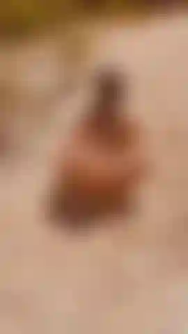Culo ebano che twerka nuda, ripresa voyeur all'aperto vicino al ruscello.