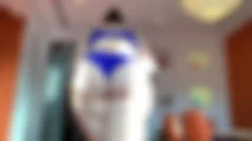 Se sei un fan del culo questo video è per te.