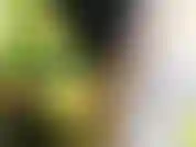 Scuotere il culo facendolo applaudire e stuzzicarti con esso ti farà venire così forte.