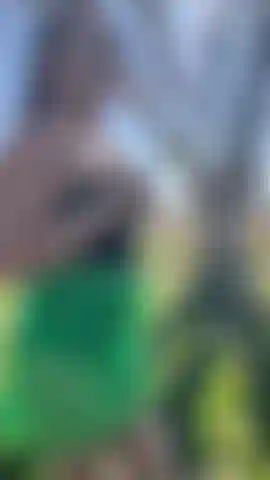 Lucky Leprechauns Sweet Lucky Charms