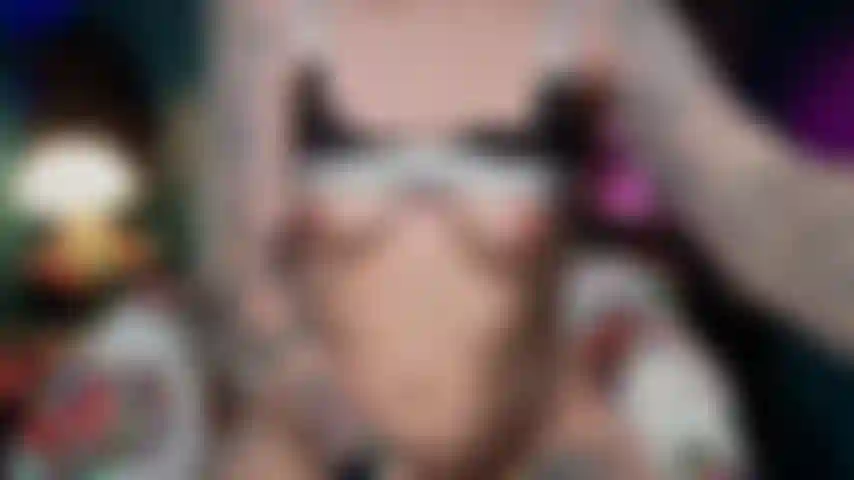 Cavalco e succhio finché non vengo.