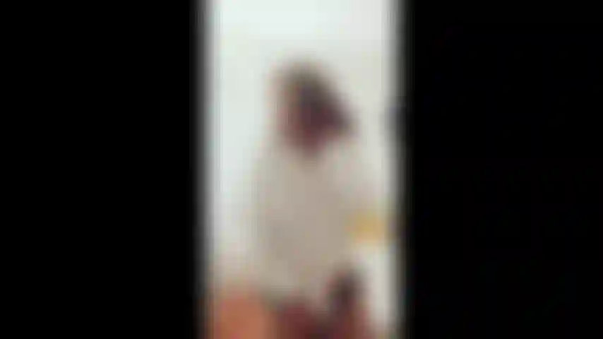 Bella giornata con sessione di spogliarello!