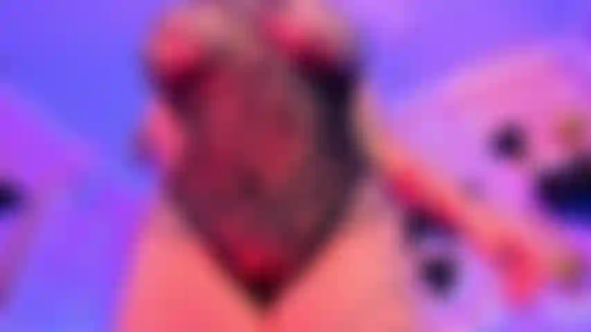 Un corpo sodo e un seno grande.