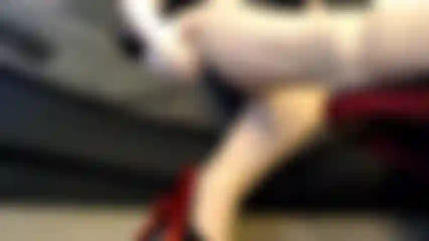 Debole per le gambe sexy.