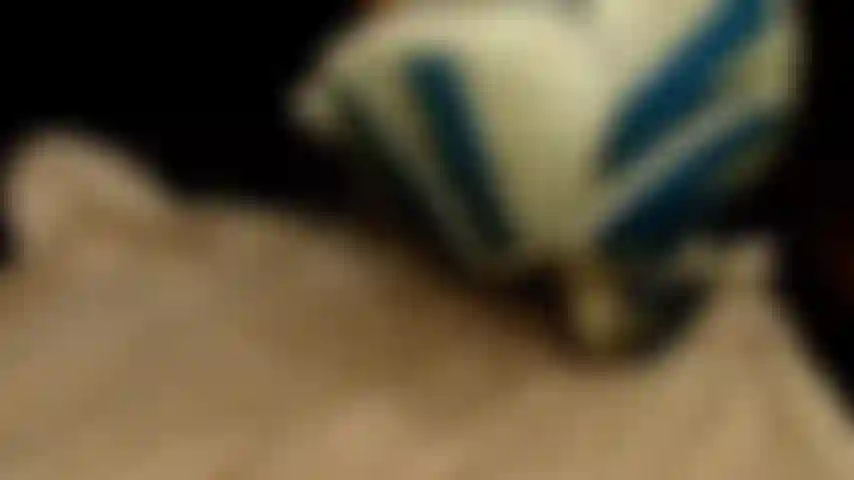 Stinky_sneaker_fucker.