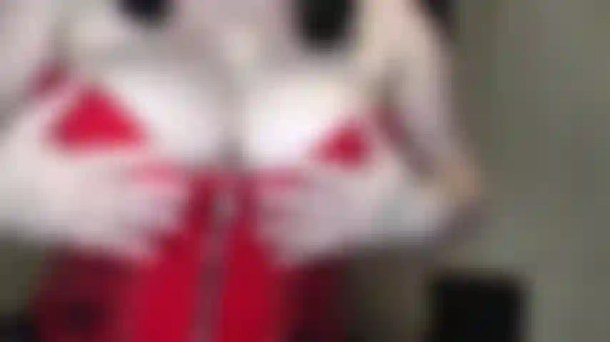 Vai in rovina per le mie tette.