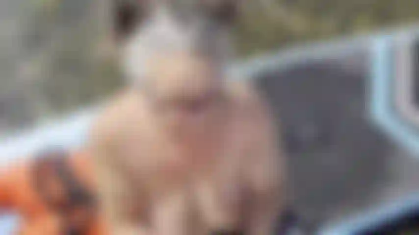 BJ on a paddleboard Watch me give my guy friend a BJ on the water BOY GIRL POV