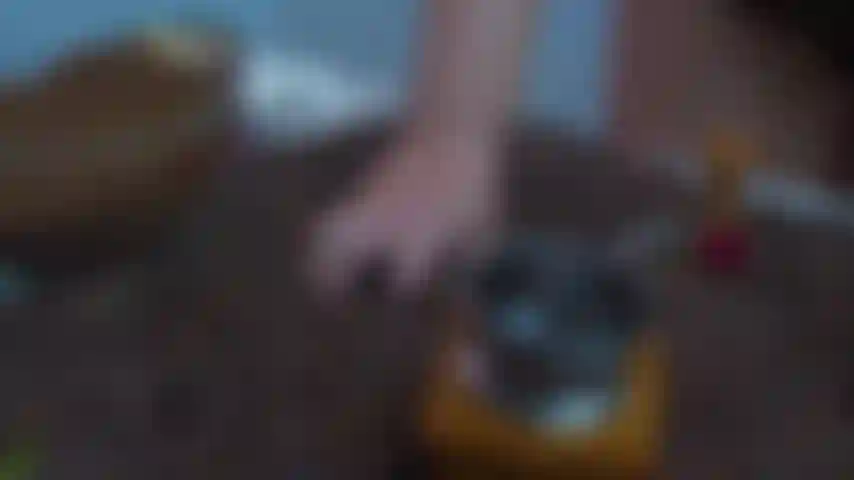 Gli antichi dei amavano il sapore dei chicchi di caffè.