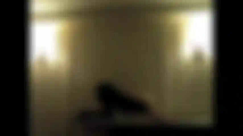 Strana dominatrice con la frusta in un misterioso condominio.