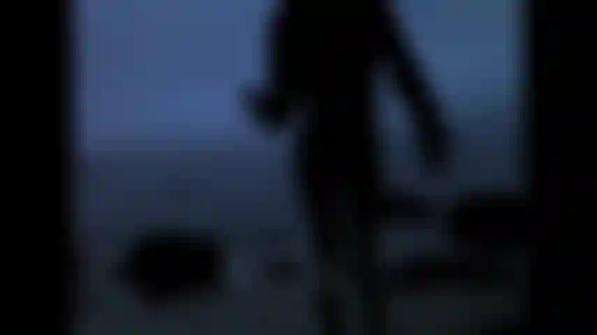 Ambientazione notturna invernale, calze a rete nere e giacca di pelliccia.