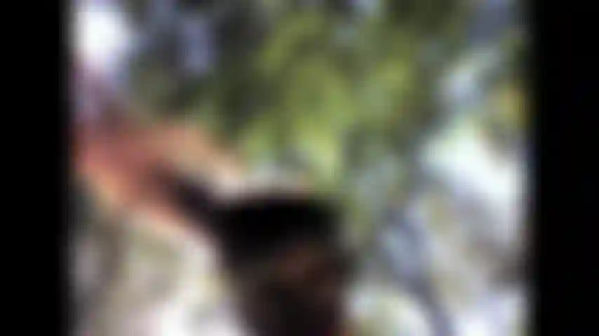 Ballo nei boschi indossando calze nere e maschera.