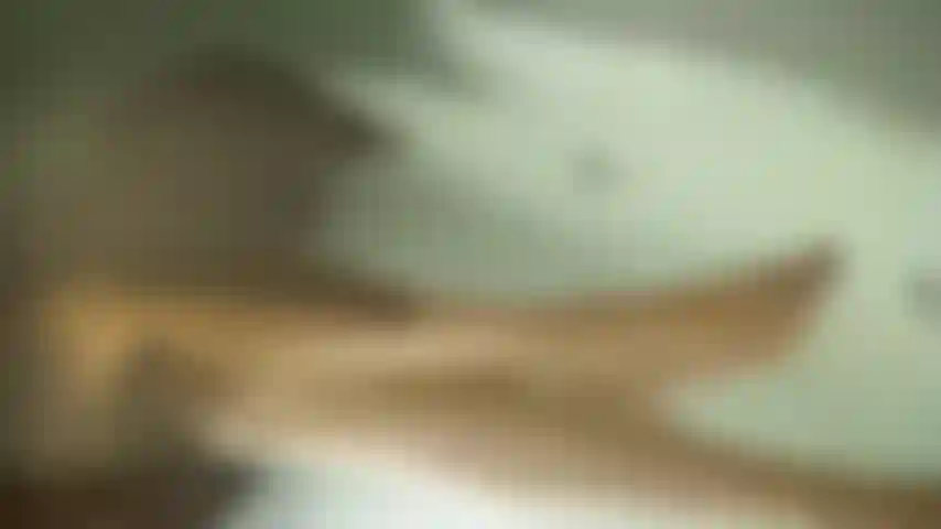 La passione parla con promesse sussurrate.