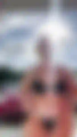 Che posa in bikini fuori dalla mia camera d'albergo.