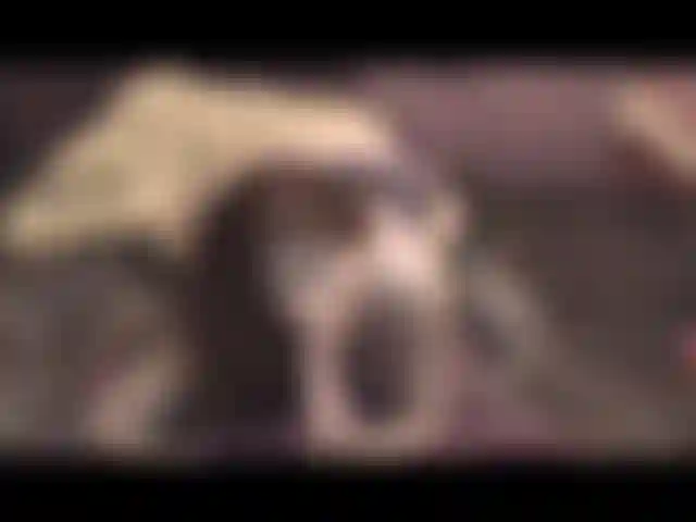 Pov bj in ginocchio, indosso lingerie, chiacchiere sporche.