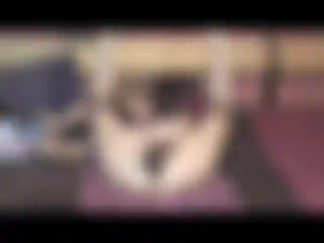 La seconda parte del mio gioco di ruolo giocherellona divertente gang bang! Sulla schiena, alla pecorina, a cavallo, ecc.