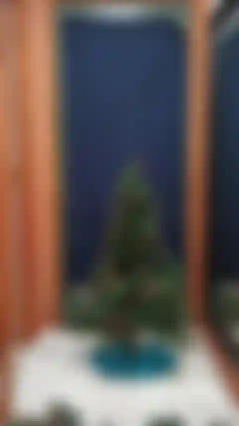 Che decora l'albero di natale