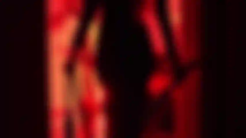 Adora la tua padrona.