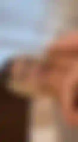 Le mie tette in faccia! Falle rimbalzare! Succhiale!