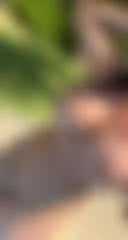 Cosa faresti se mi vedessi così?