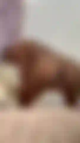 💋 Questa è la mia faccia quando immagino noi due soli insieme...