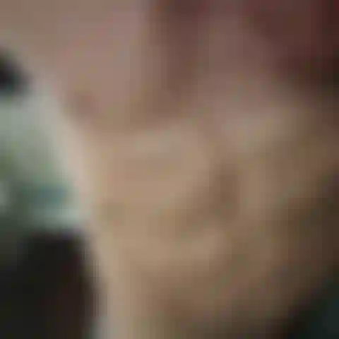 1000001244 Sì.