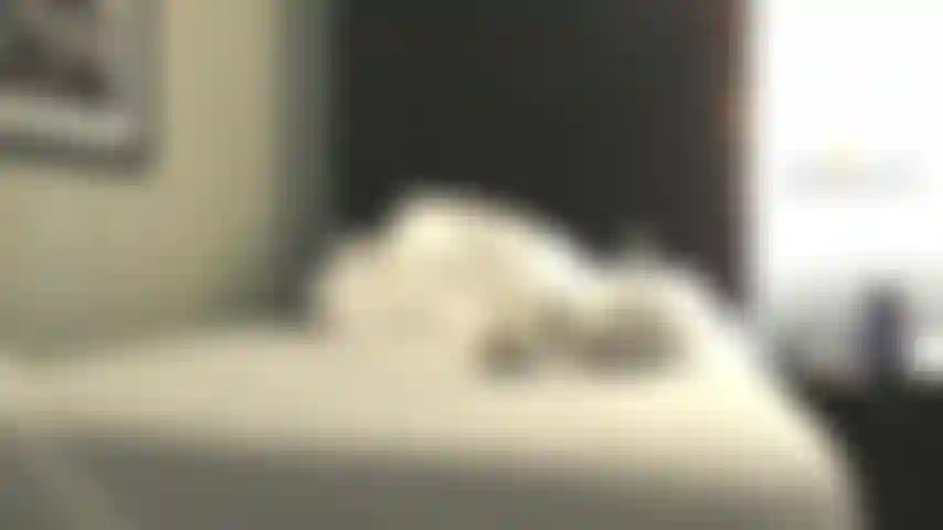 Sushi in una stanza d'albergo.