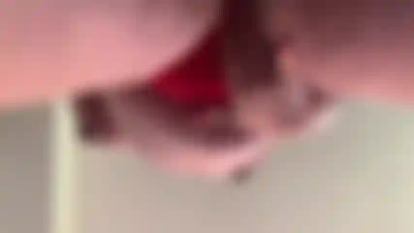 Gioco di figa incinta.