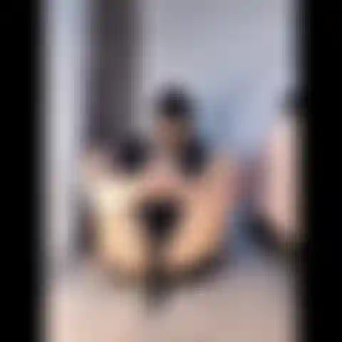 Fai scivolare il tuo cazzo sui miei piedi.