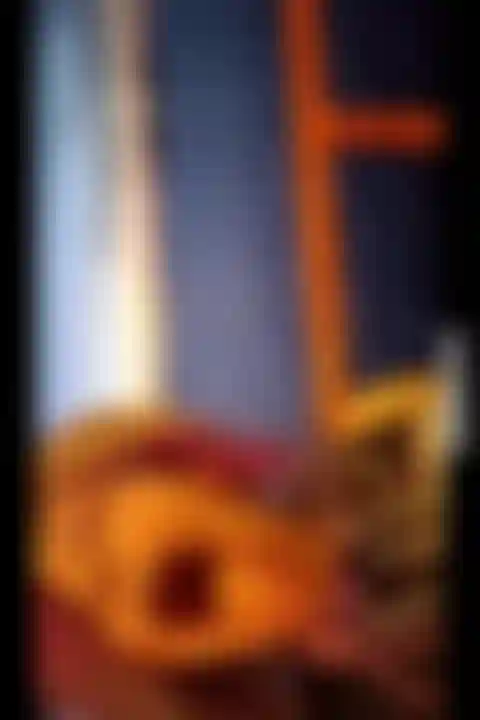 Parte 1: la prima volta sul traghetto per staten island, controllo il confronto tra la mia bocca e la statua della libertà, poi faccio vedere le mie tette finché la videocamera non si spegne.