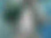 Un giorno mi sono svegliata e ho filmato questo.