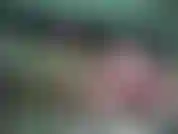 Sei nuova qui e vuoi vedere un po' come mi tocco? Beh... Spero che ti piaccia.