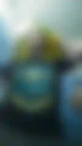 Corta per conoscermi meglio.