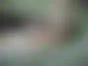 Chiacchiere sporche.