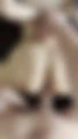 L'istruttore di sci mi ha legato e mi ha penetrato con un ghiacciolo.