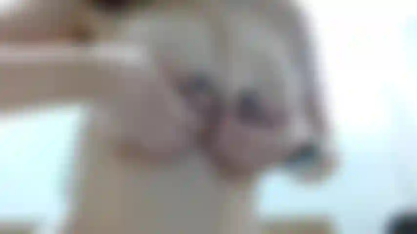 Milk chiunque?